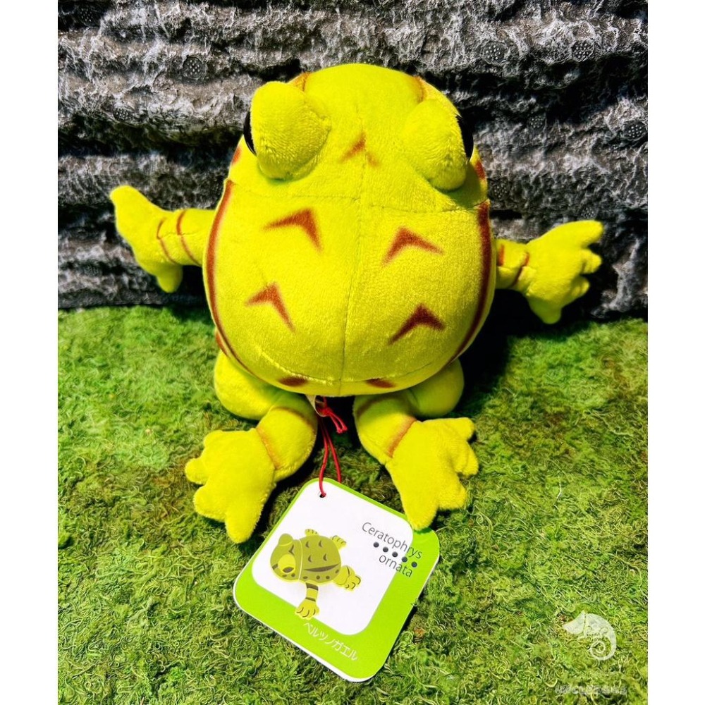 蛋叔叔【限量】【免運費】角蛙娃娃/綠角蛙/青蛙/抱枕/吊飾/掛飾/毛絨玩具/靠枕/靠墊/午睡枕/裝飾/日本進口/仿真-細節圖4