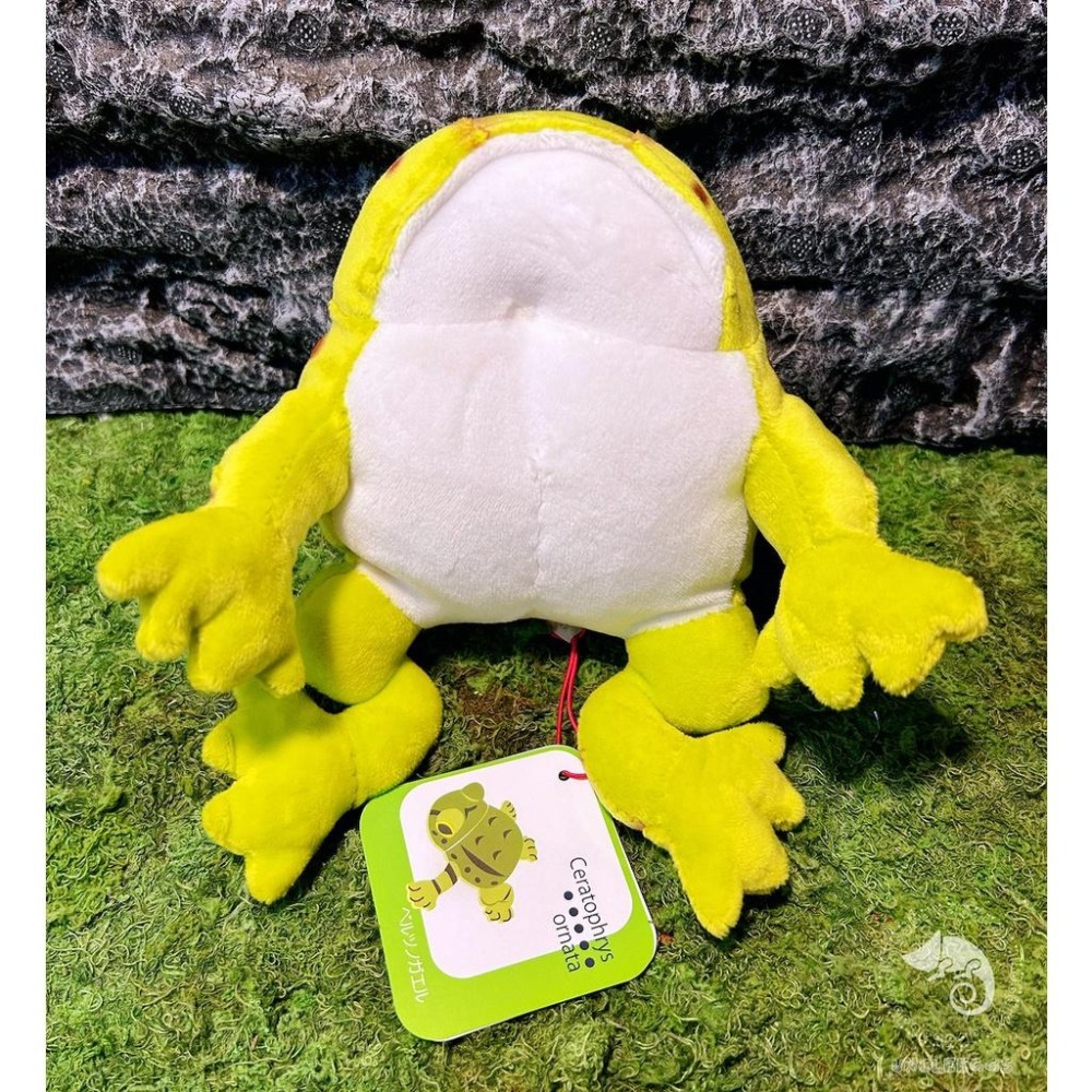 蛋叔叔【限量】【免運費】角蛙娃娃/綠角蛙/青蛙/抱枕/吊飾/掛飾/毛絨玩具/靠枕/靠墊/午睡枕/裝飾/日本進口/仿真-細節圖6