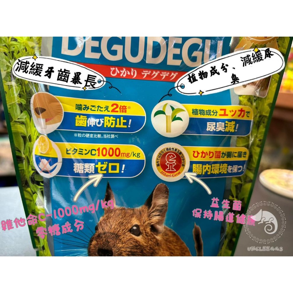 蛋叔叔-Hikari-高夠力-鼠寶活力健康餐/HK-72812/智利鼠/天竺鼠/金吉拉鼠/龍貓/老鼠飼料/八齒鼠/寵物鼠-細節圖2