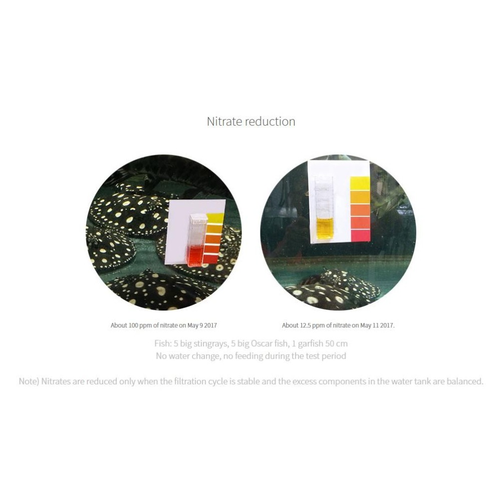 蛋叔叔-NEO V 水質安定產卵促進液/繁殖/七彩神仙/魟魚/鬥魚/埃及神仙/短雕/黑水/增酸/單寧酸/弱酸-細節圖5