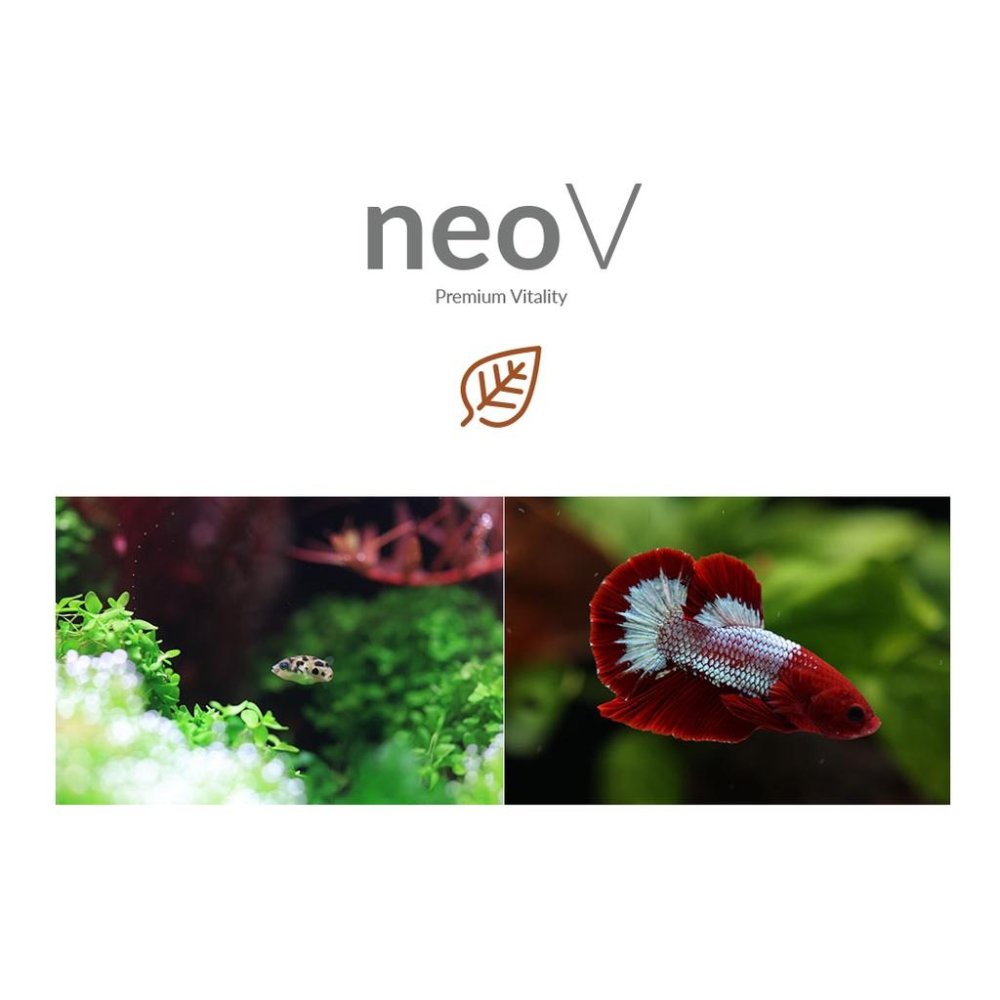 蛋叔叔-NEO V 水質安定產卵促進液/繁殖/七彩神仙/魟魚/鬥魚/埃及神仙/短雕/黑水/增酸/單寧酸/弱酸-細節圖3