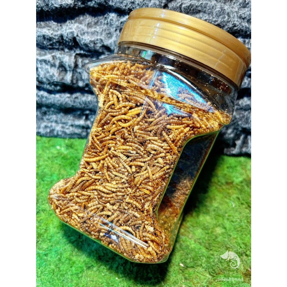 蛋叔叔-RepPark-高蛋白乾燥麵包蟲/高蛋白/乾燥蟲/肉食/刺蝟飼料/鸚鵡飼料/大型魚飼料/澤龜飼料/蜜袋鼯飼料/鼠-細節圖4