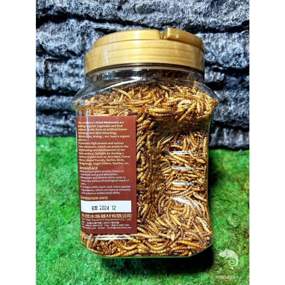 蛋叔叔-RepPark-高蛋白乾燥麵包蟲/高蛋白/乾燥蟲/肉食/刺蝟飼料/鸚鵡飼料/大型魚飼料/澤龜飼料/蜜袋鼯飼料/鼠-細節圖5