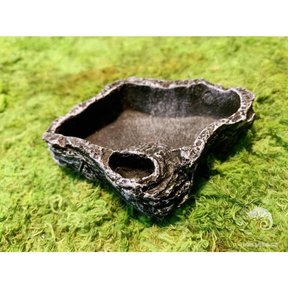 蛋叔叔-爬蟲餵食盆/#094/水盆/水皿/紅眼樹蛙/日型守宮/肥尾守宮/蠍子/蜘蛛/守宮用/鈣粉/睫角守宮/果泥/鬆獅蜥-細節圖3