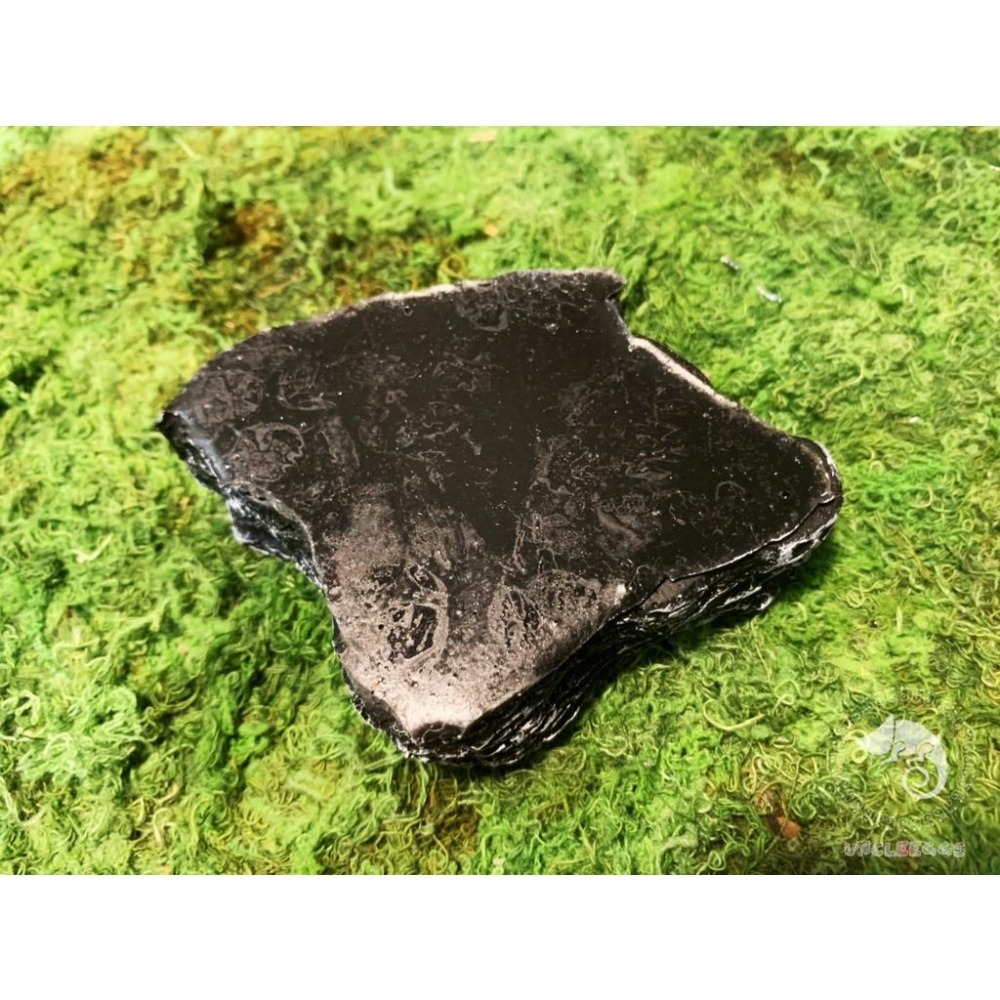 蛋叔叔-爬蟲餵食盆/#094/水盆/水皿/紅眼樹蛙/日型守宮/肥尾守宮/蠍子/蜘蛛/守宮用/鈣粉/睫角守宮/果泥/鬆獅蜥-細節圖4