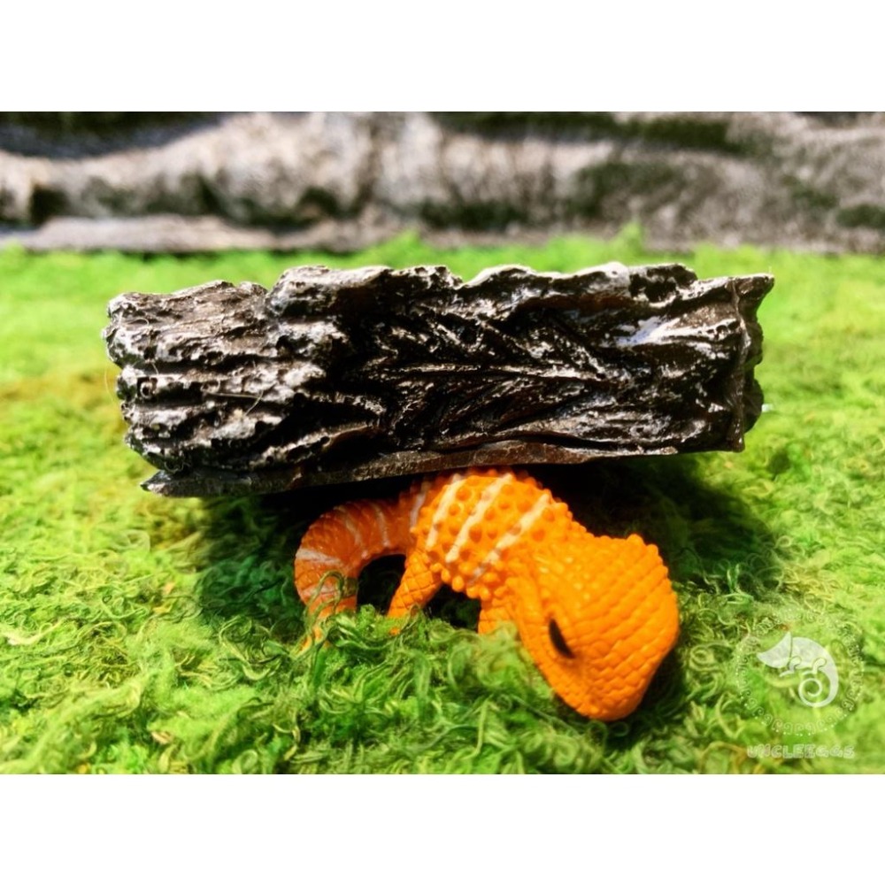 蛋叔叔-爬蟲餵食盆/#094/水盆/水皿/紅眼樹蛙/日型守宮/肥尾守宮/蠍子/蜘蛛/守宮用/鈣粉/睫角守宮/果泥/鬆獅蜥-細節圖5