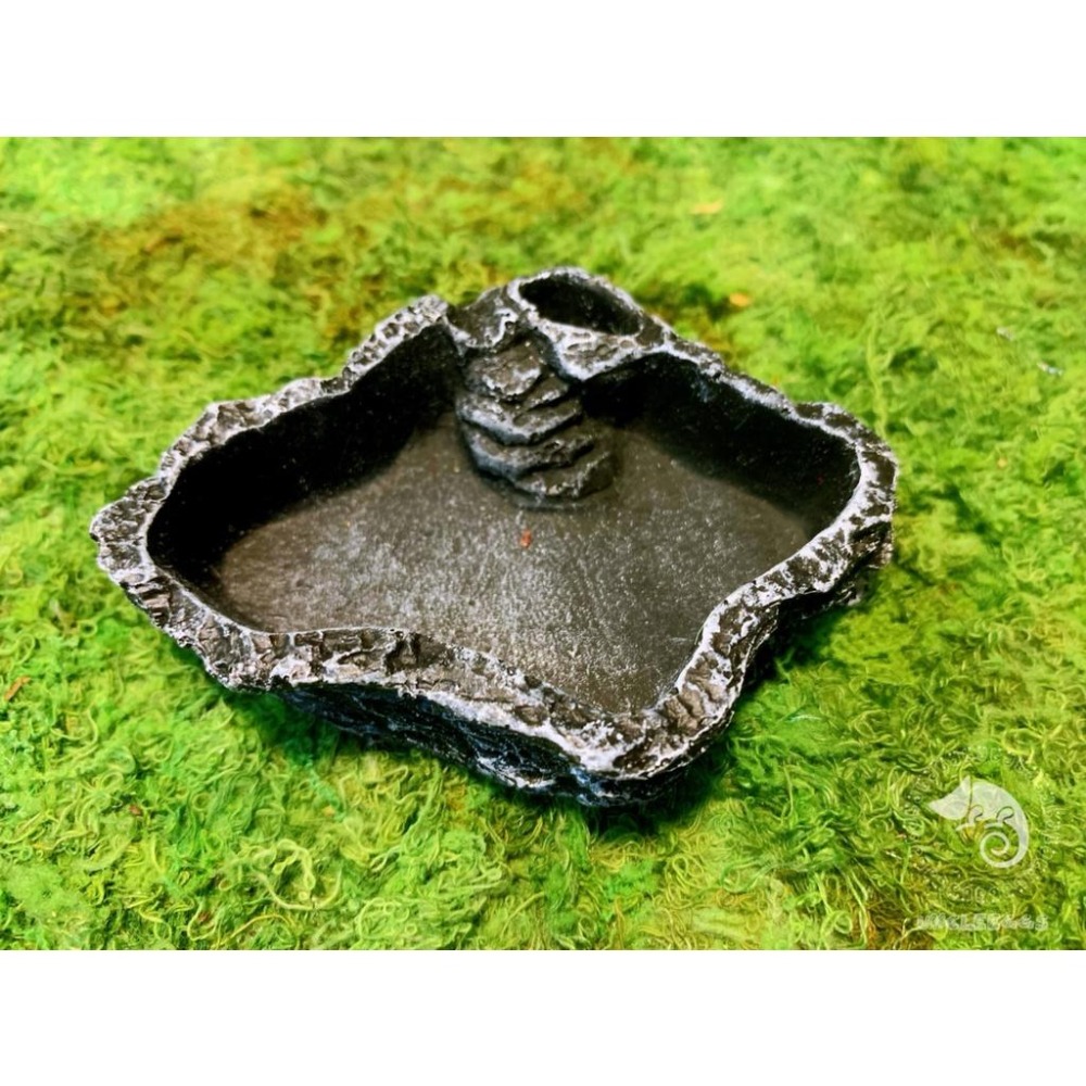 蛋叔叔-爬蟲餵食盆/#094/水盆/水皿/紅眼樹蛙/日型守宮/肥尾守宮/蠍子/蜘蛛/守宮用/鈣粉/睫角守宮/果泥/鬆獅蜥-細節圖6