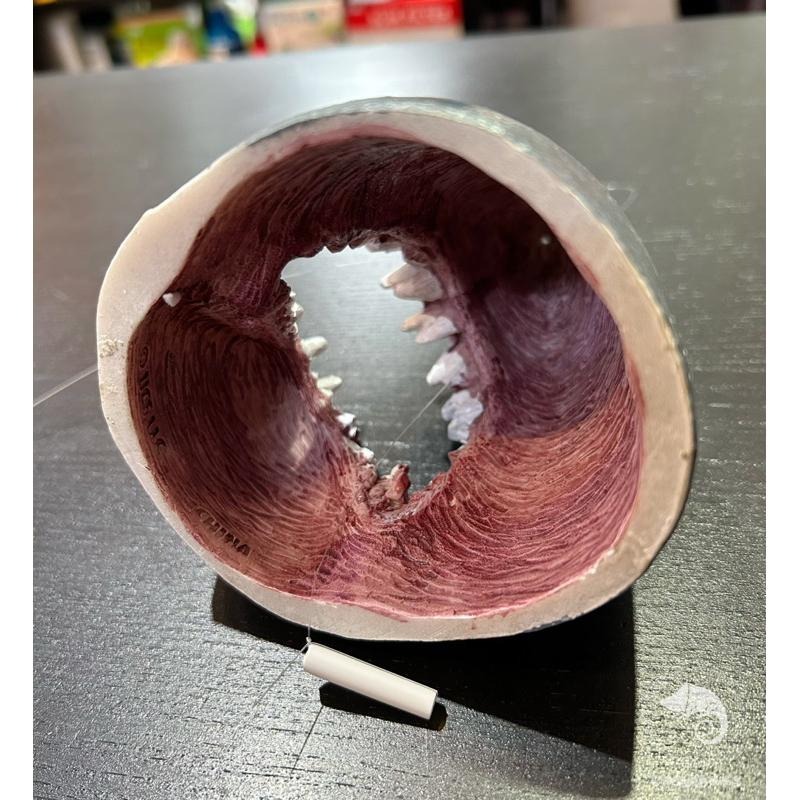 蛋叔叔-JAWS-大白鯊/漂浮泳客/公仔/巨齒鯊/UNIVERSAL/環球影城/IKEA/食人鮫/The Meg/鯊魚-細節圖5