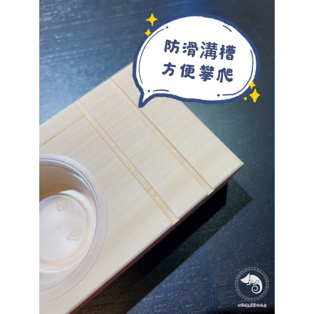 蛋叔叔-RepPark-長方形果凍台/單孔/甲蟲/睫角/蜜袋鼯/巨人守宮/睫角守宮/日行守宮/蓋勾亞守宮/果泥/食盆-細節圖3