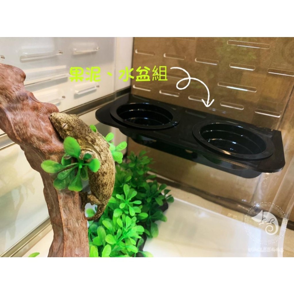 蛋叔叔-豪華樹棲守宮套組/壓克力/睫角守宮/巨人守宮/紅眼樹蛙/變色龍/螳螂/甲蟲箱/寵物箱/飼育箱/魔物守宮/蓋勾亞-細節圖2