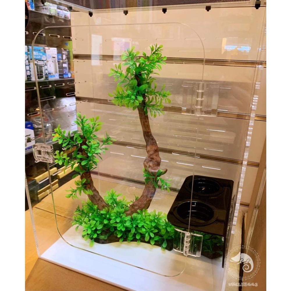 蛋叔叔-豪華樹棲守宮套組/壓克力/睫角守宮/巨人守宮/紅眼樹蛙/變色龍/螳螂/甲蟲箱/寵物箱/飼育箱/魔物守宮/蓋勾亞-細節圖4