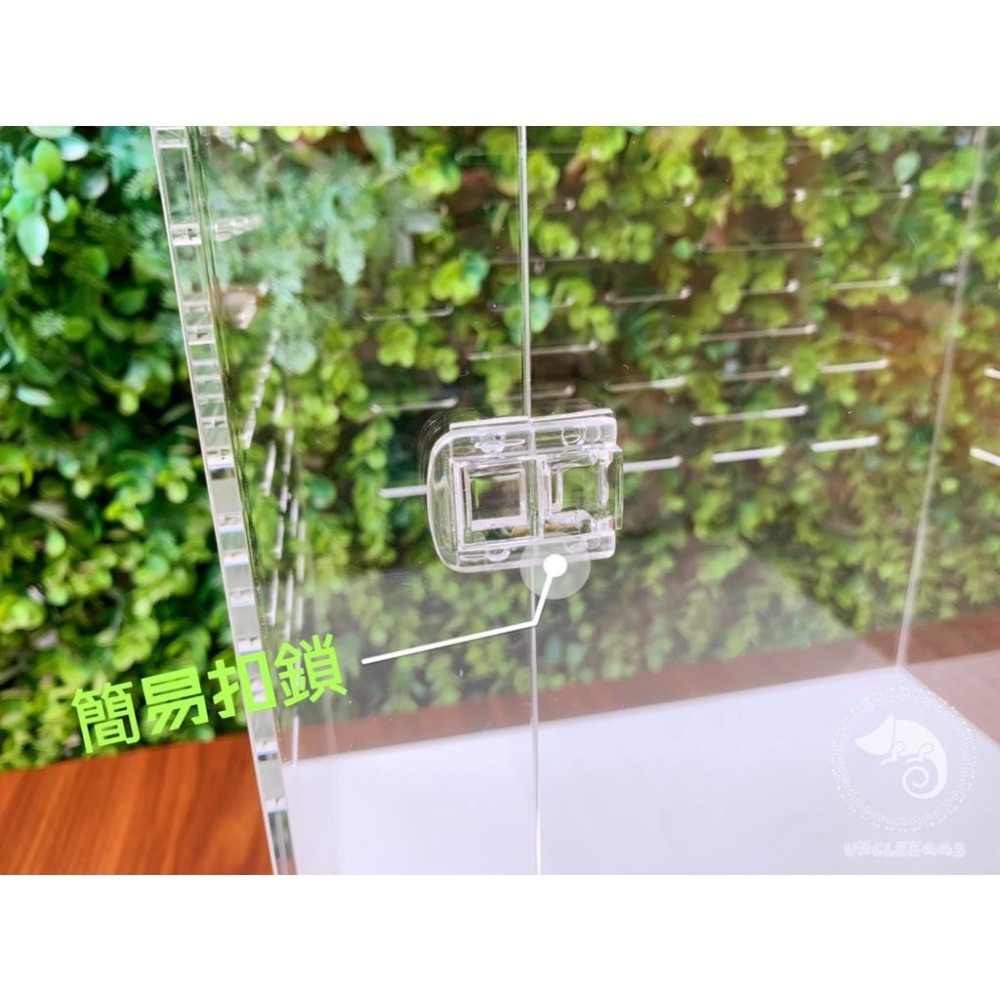 蛋叔叔-豪華樹棲守宮套組/壓克力/睫角守宮/巨人守宮/紅眼樹蛙/變色龍/螳螂/甲蟲箱/寵物箱/飼育箱/魔物守宮/蓋勾亞-細節圖6