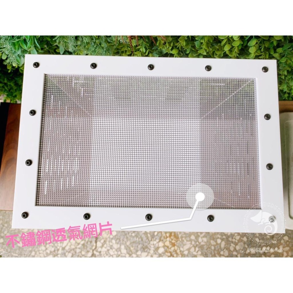 蛋叔叔-豪華樹棲守宮套組/壓克力/睫角守宮/巨人守宮/紅眼樹蛙/變色龍/螳螂/甲蟲箱/寵物箱/飼育箱/魔物守宮/蓋勾亞-細節圖7