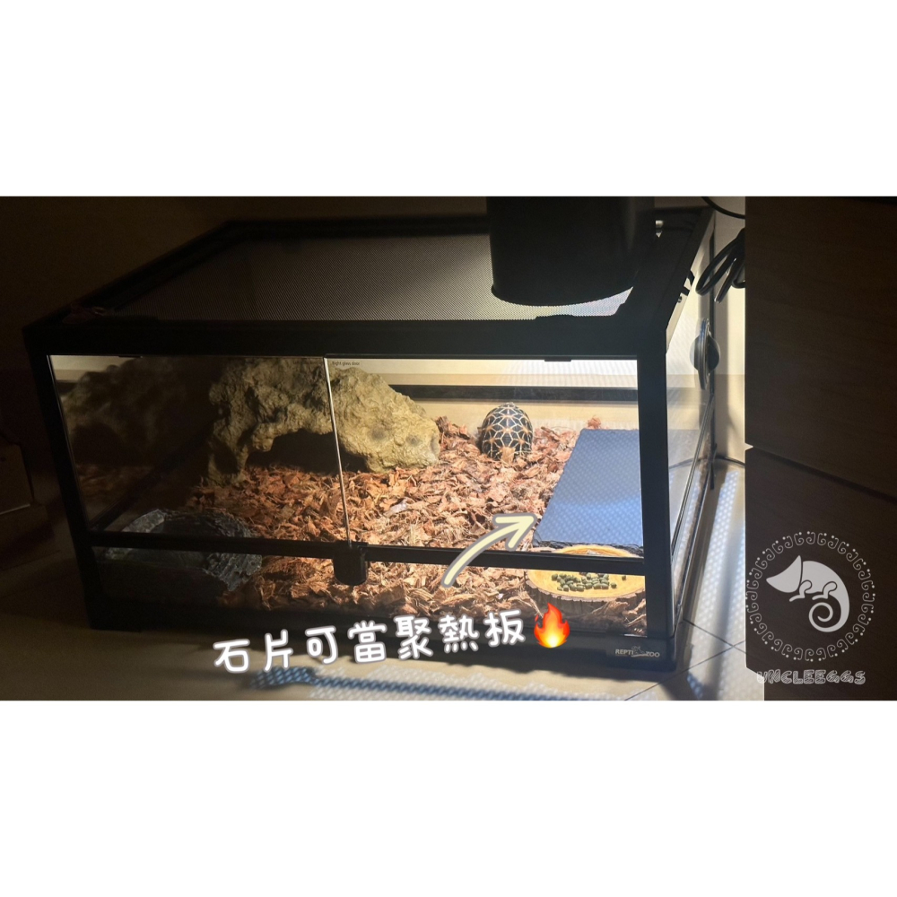 蛋叔叔-NOMO-陸龜石板L/石片/磁磚/地磚/加熱片/聚熱/熱點/食盤/餵食盤/飼料盤/磨甲/鬆獅蜥/王者蜥/蘇卡達-細節圖2