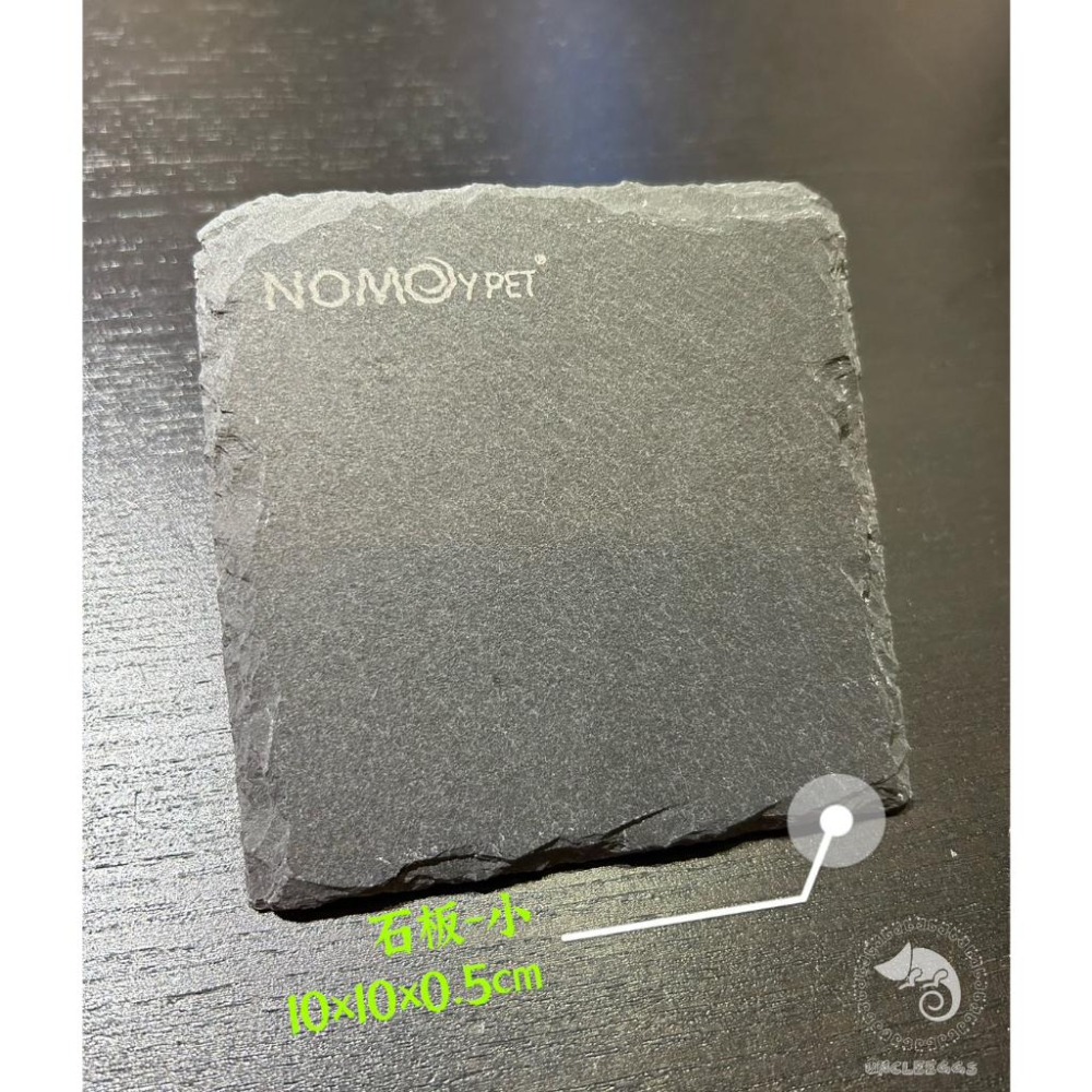 蛋叔叔-NOMO-陸龜石板L/石片/磁磚/地磚/加熱片/聚熱/熱點/食盤/餵食盤/飼料盤/磨甲/鬆獅蜥/王者蜥/蘇卡達-細節圖3