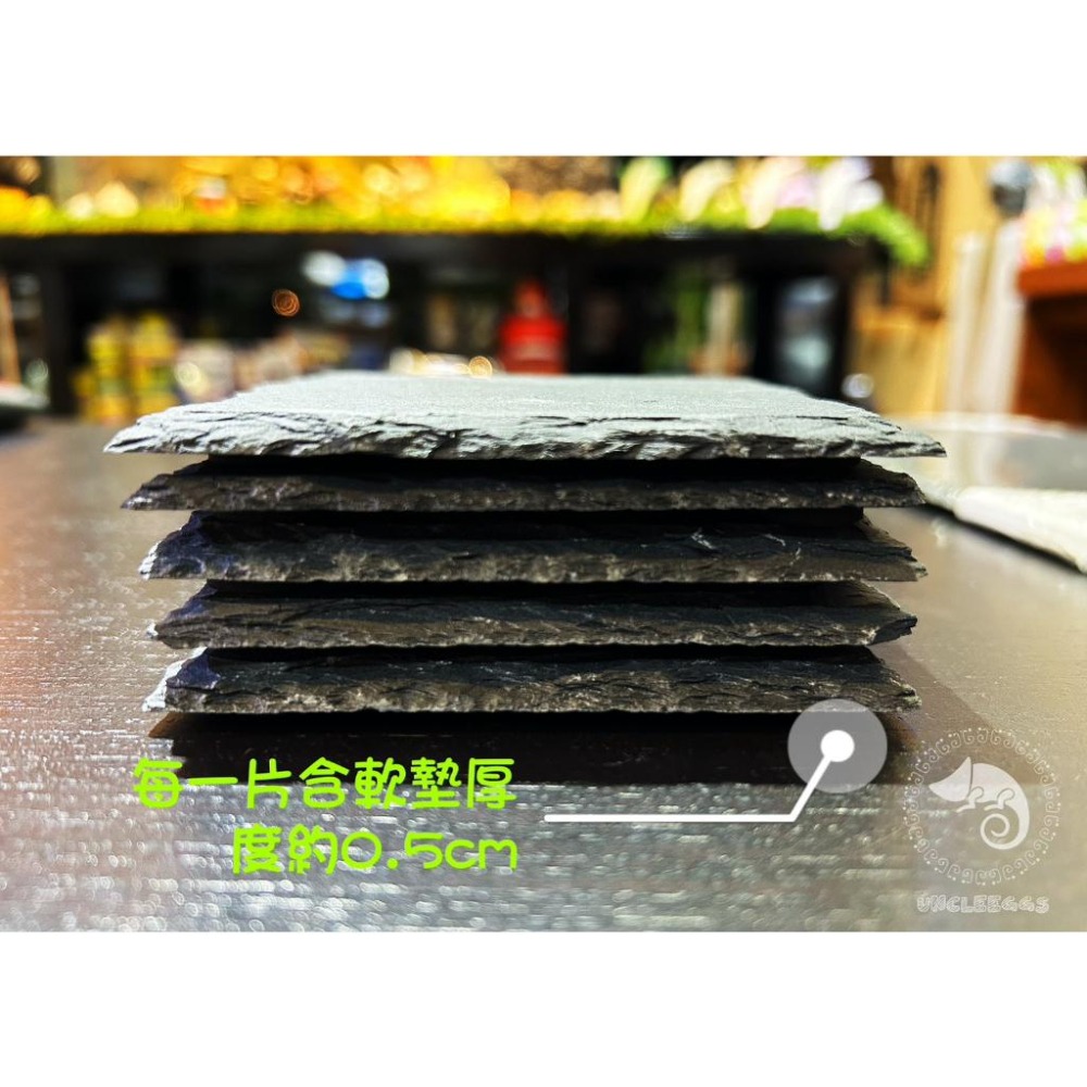 蛋叔叔-NOMO-陸龜石板L/石片/磁磚/地磚/加熱片/聚熱/熱點/食盤/餵食盤/飼料盤/磨甲/鬆獅蜥/王者蜥/蘇卡達-細節圖6
