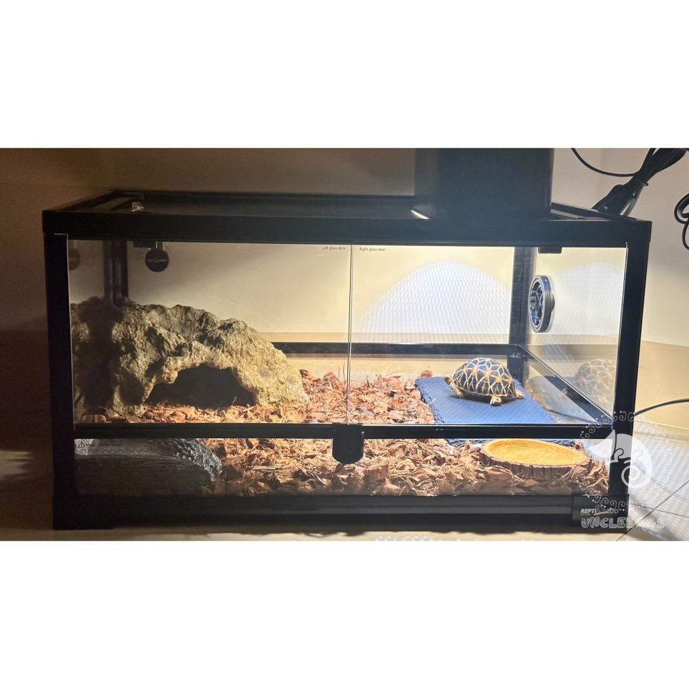 蛋叔叔-NOMO-陸龜石板L/石片/磁磚/地磚/加熱片/聚熱/熱點/食盤/餵食盤/飼料盤/磨甲/鬆獅蜥/王者蜥/蘇卡達-細節圖8