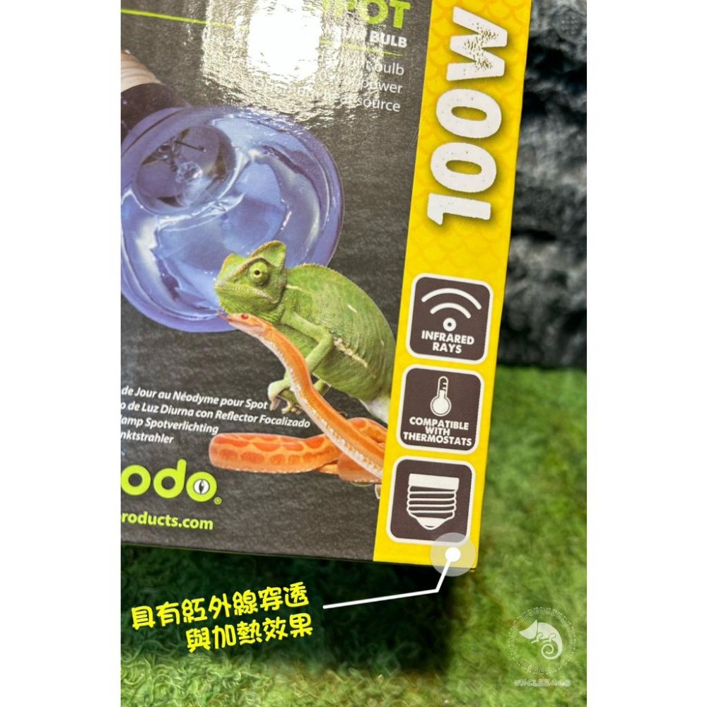 蛋叔叔-Komodo-日間釹燈炮/加溫/聚熱/保溫/加溫燈/取暖燈/加熱燈/聚熱燈/鬆獅蜥/陸龜/巨蜥-細節圖2