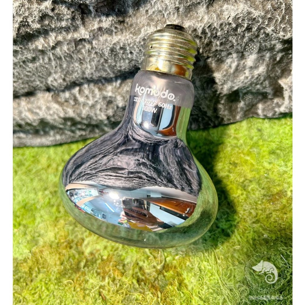 蛋叔叔-Komodo-日間釹燈炮/加溫/聚熱/保溫/加溫燈/取暖燈/加熱燈/聚熱燈/鬆獅蜥/陸龜/巨蜥-細節圖6