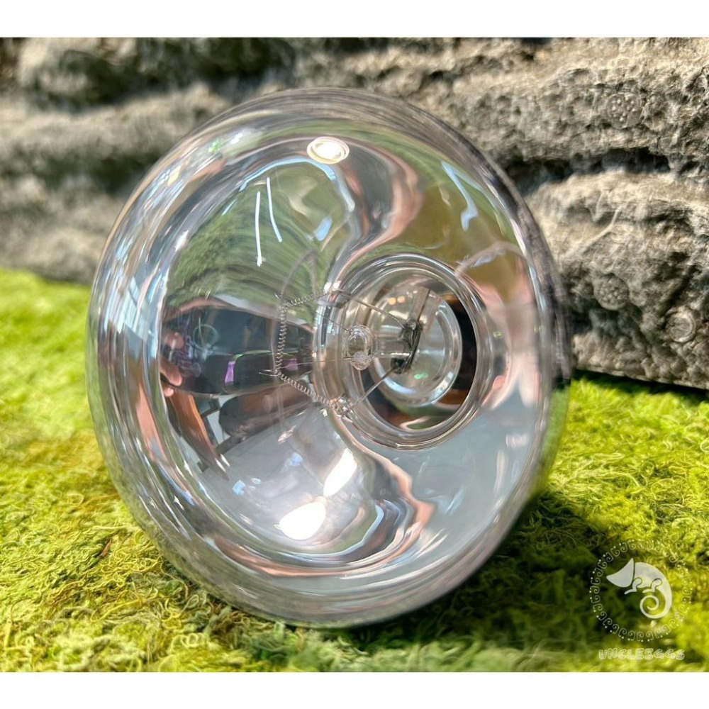 蛋叔叔-Komodo-日間釹燈炮/加溫/聚熱/保溫/加溫燈/取暖燈/加熱燈/聚熱燈/鬆獅蜥/陸龜/巨蜥-細節圖7