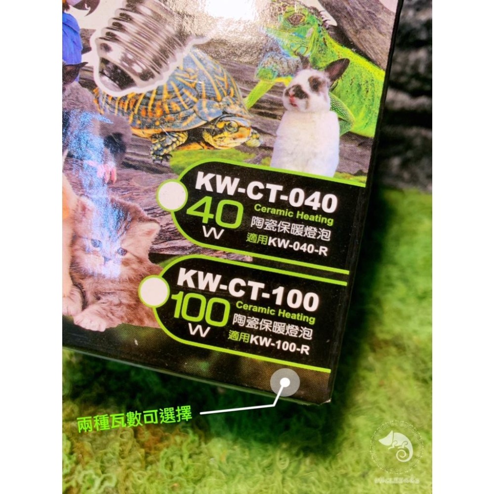 蛋叔叔-RepPark陶瓷保暖燈泡/紅外線/夜間用/陶瓷燈泡/加熱燈/取暖燈/加溫燈/紅外線加溫/陸龜/鬆獅蜥/蜜袋鼯-細節圖4