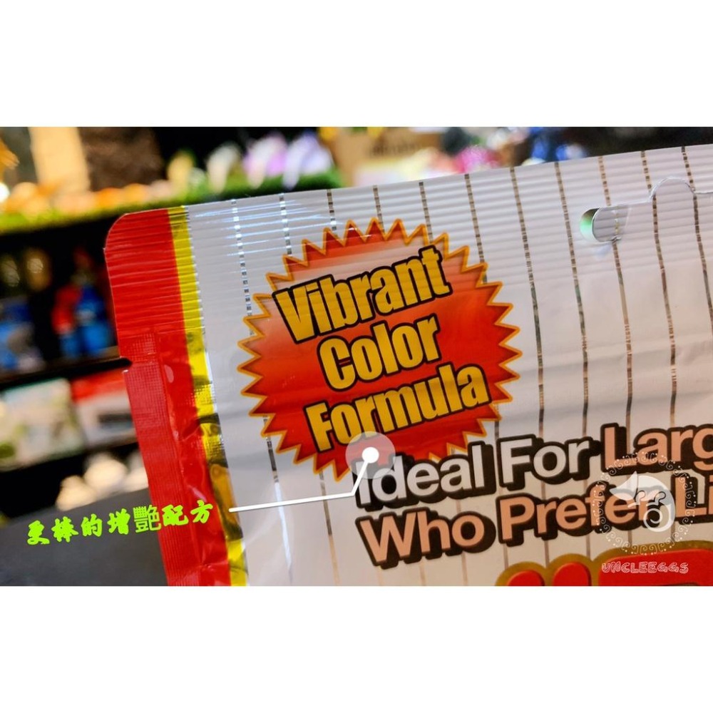 蛋叔叔-Hikari高夠力-熱帶魚蟲型飼料XL(小包)125g/假紅蟲/挑嘴魚飼料/龍魚飼料/羅漢魚飼料/增豔/金三間-細節圖4