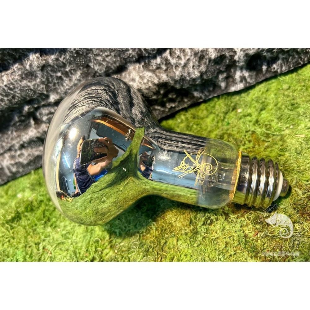 蛋叔叔【免運費】ReptiGoods Sunshine全光譜太陽燈/UVB/10.0/紫外線聚熱燈/加熱燈/鬆獅蜥/陸龜-細節圖2