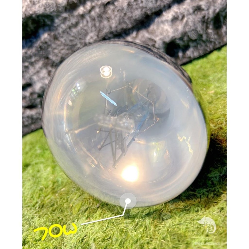 蛋叔叔【免運費】ReptiGoods Sunshine全光譜太陽燈/UVB/10.0/紫外線聚熱燈/加熱燈/鬆獅蜥/陸龜-細節圖3