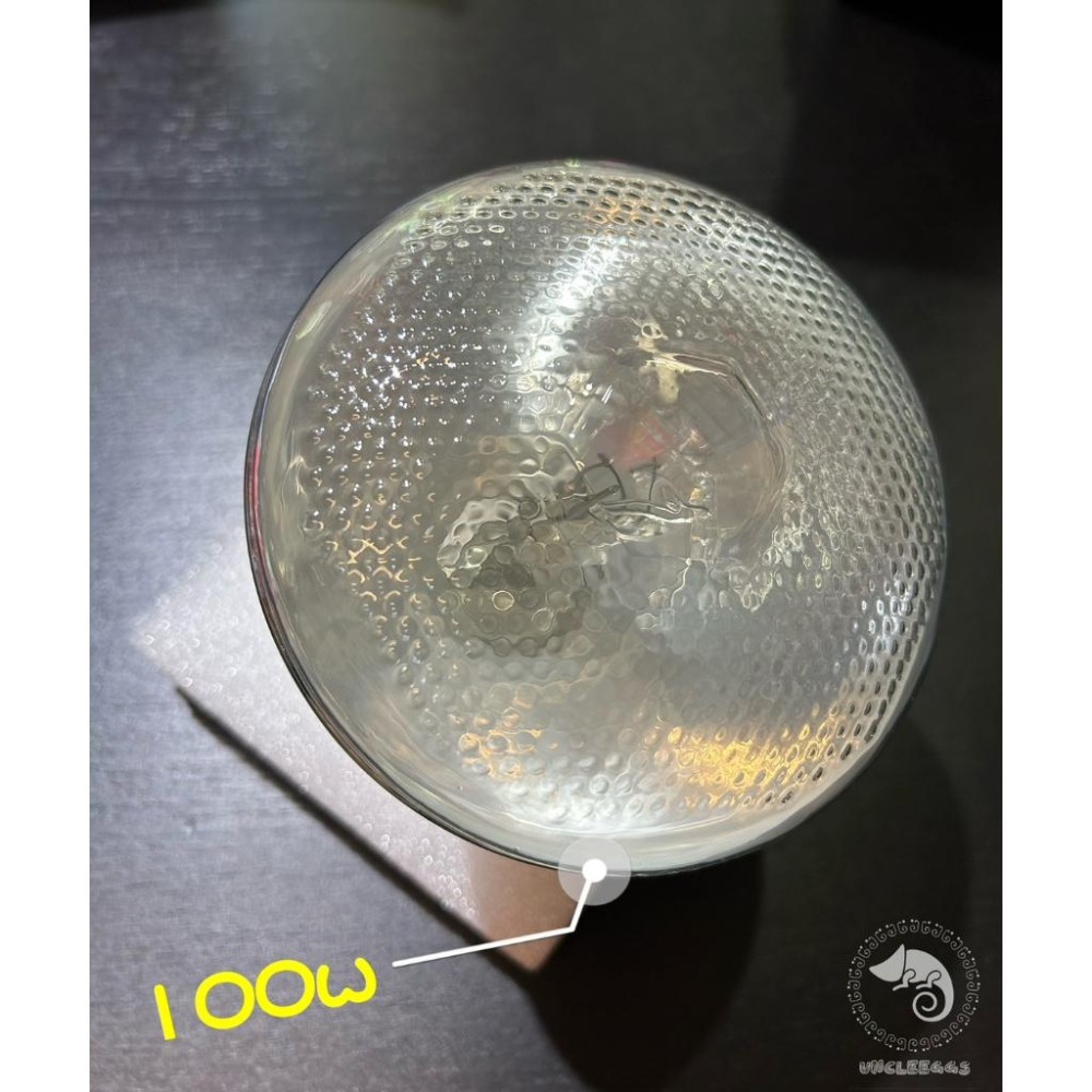 蛋叔叔【免運費】ReptiGoods Sunshine全光譜太陽燈/UVB/10.0/紫外線聚熱燈/加熱燈/鬆獅蜥/陸龜-細節圖4