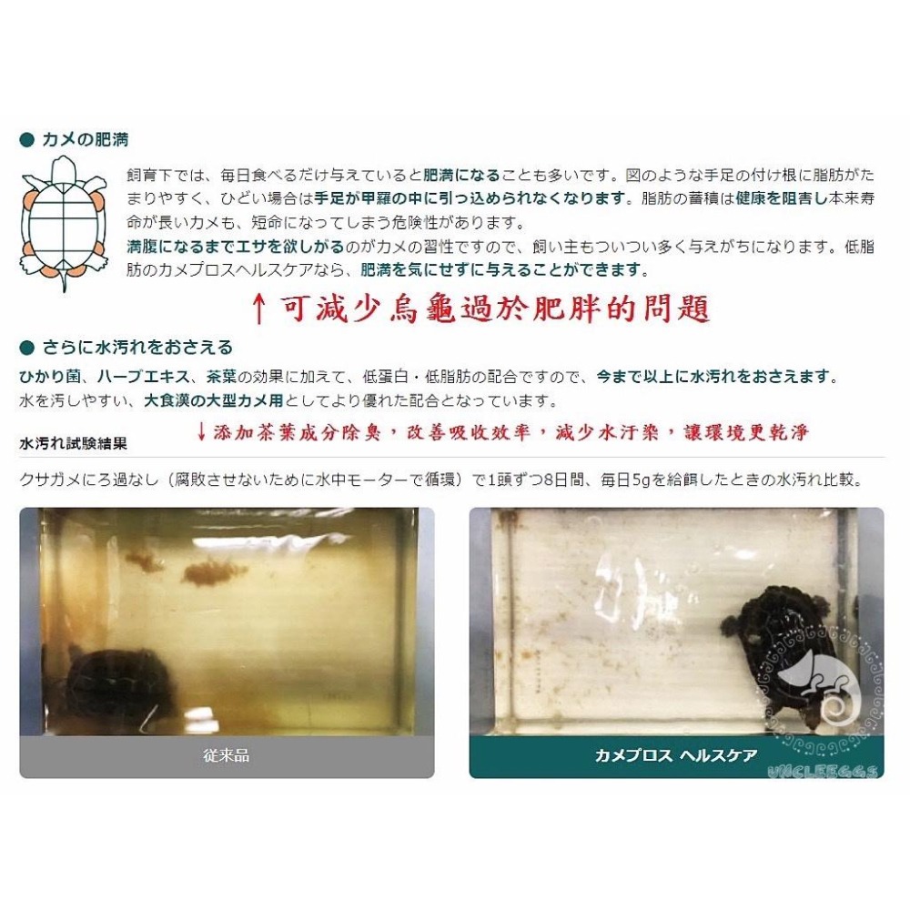 蛋叔叔-Hikari高夠力善玉菌澤龜元氣健康食/大顆粒/大龜專用/白子巴西龜/台灣龜/大花臉/地圖龜/鑽紋龜-細節圖5