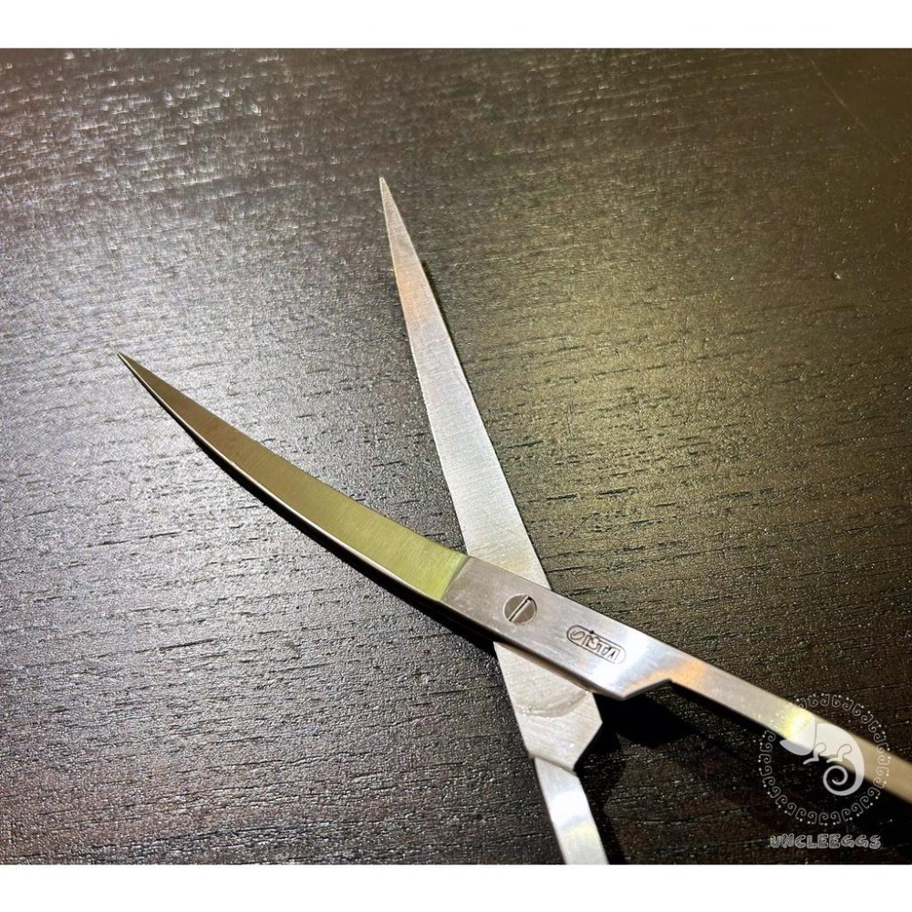 蛋叔叔-ISTA-專業水草波浪剪刀-20cm/ IF-495/水草剪/彎剪/水草刀/不鏽鋼/魚缸保養/剪刀/伊士達-細節圖5