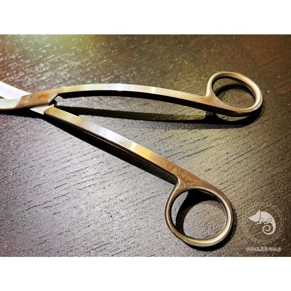 蛋叔叔-ISTA-專業水草波浪剪刀-20cm/ IF-495/水草剪/彎剪/水草刀/不鏽鋼/魚缸保養/剪刀/伊士達-細節圖6