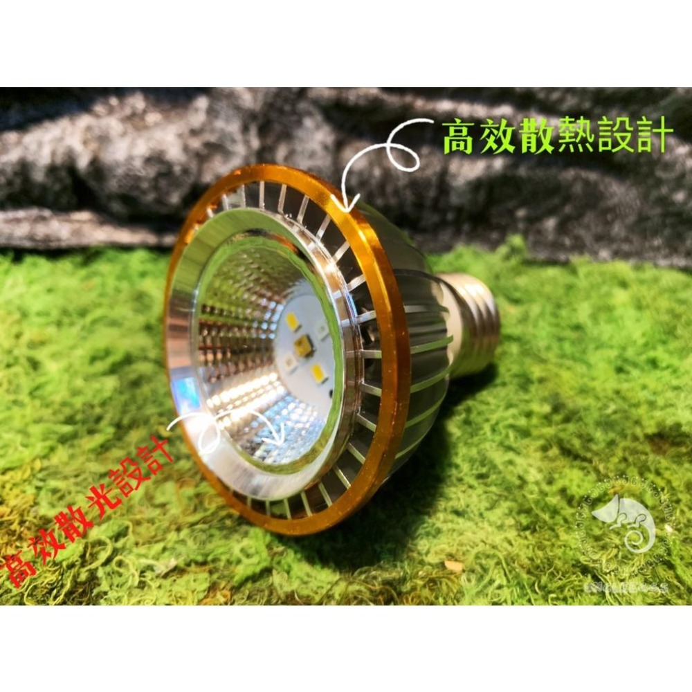 蛋叔叔-LD-全光譜LED燈/3w/UVB/紫外線燈/太陽燈/鬆獅蜥/增豔/陸龜/蜥蜴/變色龍/王者蜥/10.0/5.0-細節圖2