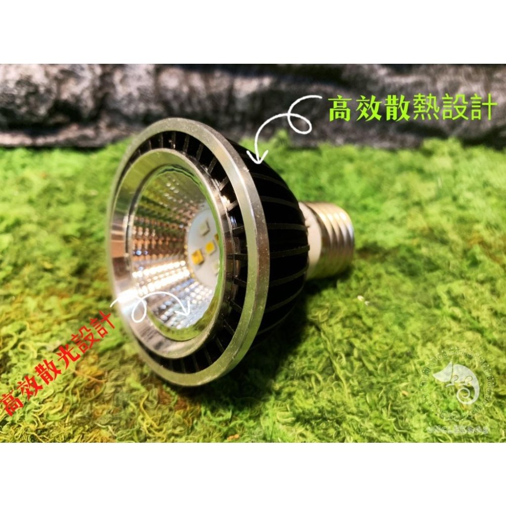蛋叔叔-LD-全光譜LED燈/3w/UVB/紫外線燈/太陽燈/鬆獅蜥/增豔/陸龜/蜥蜴/變色龍/王者蜥/10.0/5.0-細節圖3