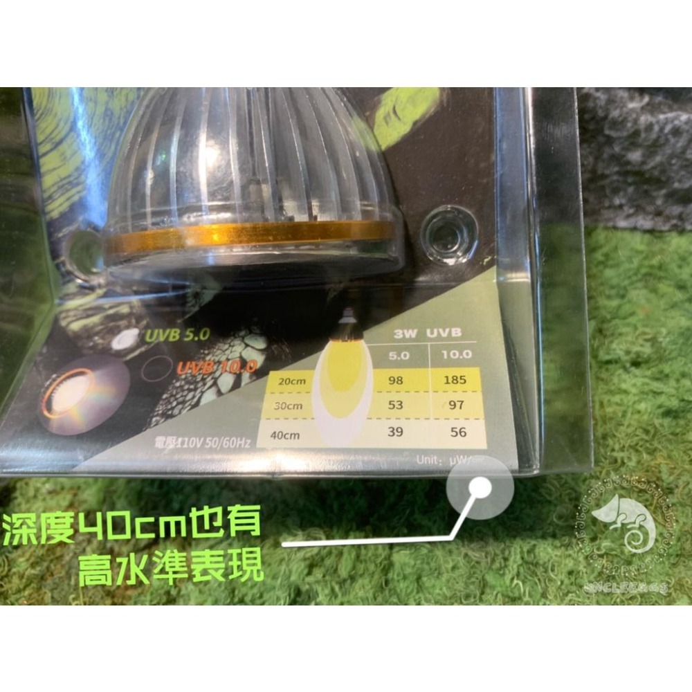 蛋叔叔-LD-全光譜LED燈/3w/UVB/紫外線燈/太陽燈/鬆獅蜥/增豔/陸龜/蜥蜴/變色龍/王者蜥/10.0/5.0-細節圖5