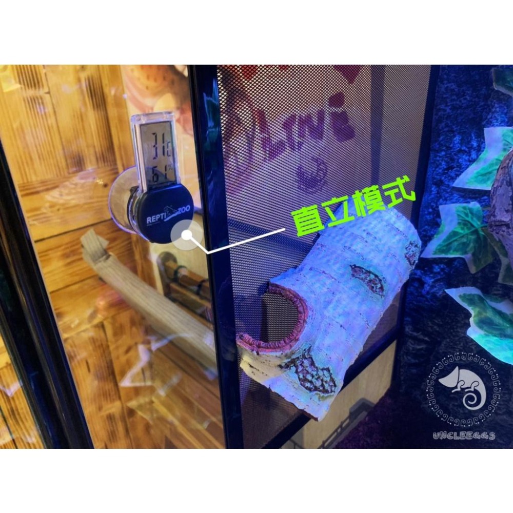 蛋叔叔-REPTIZOO電子溫濕度計-直式/LED/觀測/熱點/冷點/雨林缸/溫度計/濕度計/檢測/睫角守宮/變色龍-細節圖4