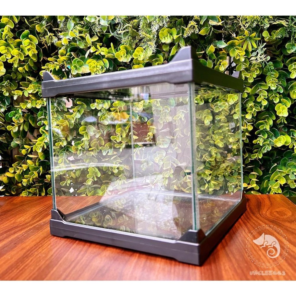 蛋叔叔-GG-堆疊式寵物箱/爬蟲缸/寵物箱/角蛙缸/守宮/蜘蛛/蠍子/樹蛙/玉米蛇/蠑螈/甲蟲缸/鬥魚缸/微景缸/孔雀魚-細節圖6