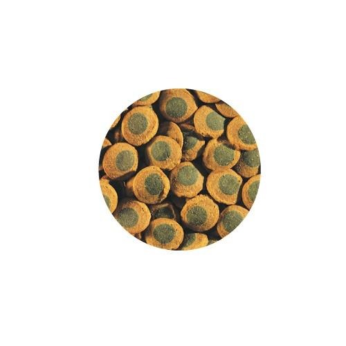 蛋叔叔-Tetra-二合一異型魚錠狀飼料/德彩/鼠魚飼料/皇冠豹/鱘龍魚/魟魚/沉底飼料/蛋龜飼料/底棲魚/螯蝦-細節圖2