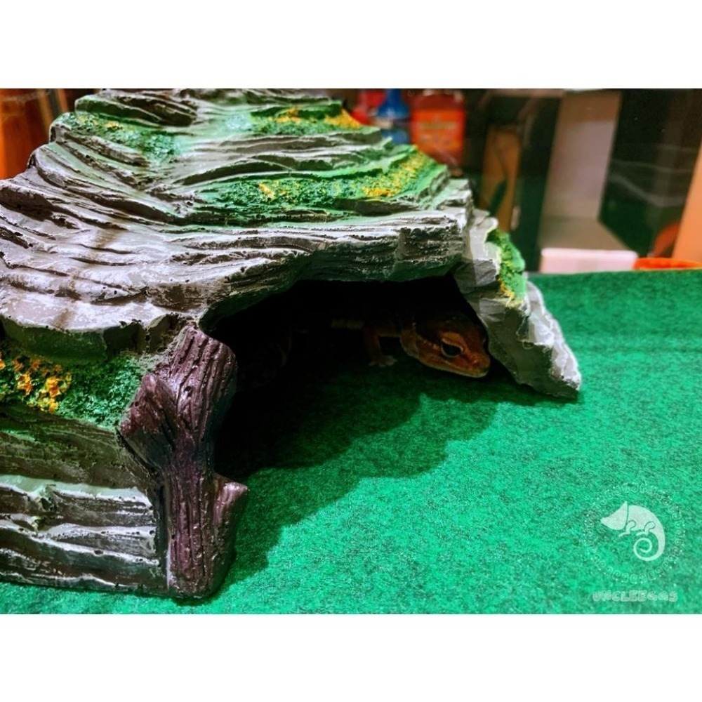 蛋叔叔-躲避洞穴爬台/410/守宮洞/守宮屋/曬台/爬台/烏龜島/蛇洞/角落洞穴/肥尾守宮/玉米蛇/角蛙/螯蝦/睡窩-細節圖4