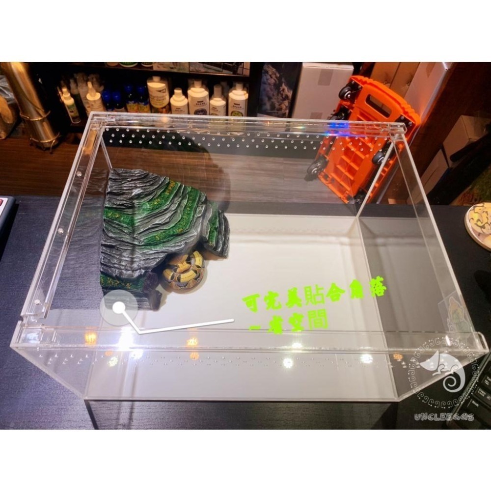 蛋叔叔-躲避洞穴爬台/410/守宮洞/守宮屋/曬台/爬台/烏龜島/蛇洞/角落洞穴/肥尾守宮/玉米蛇/角蛙/螯蝦/睡窩-細節圖5