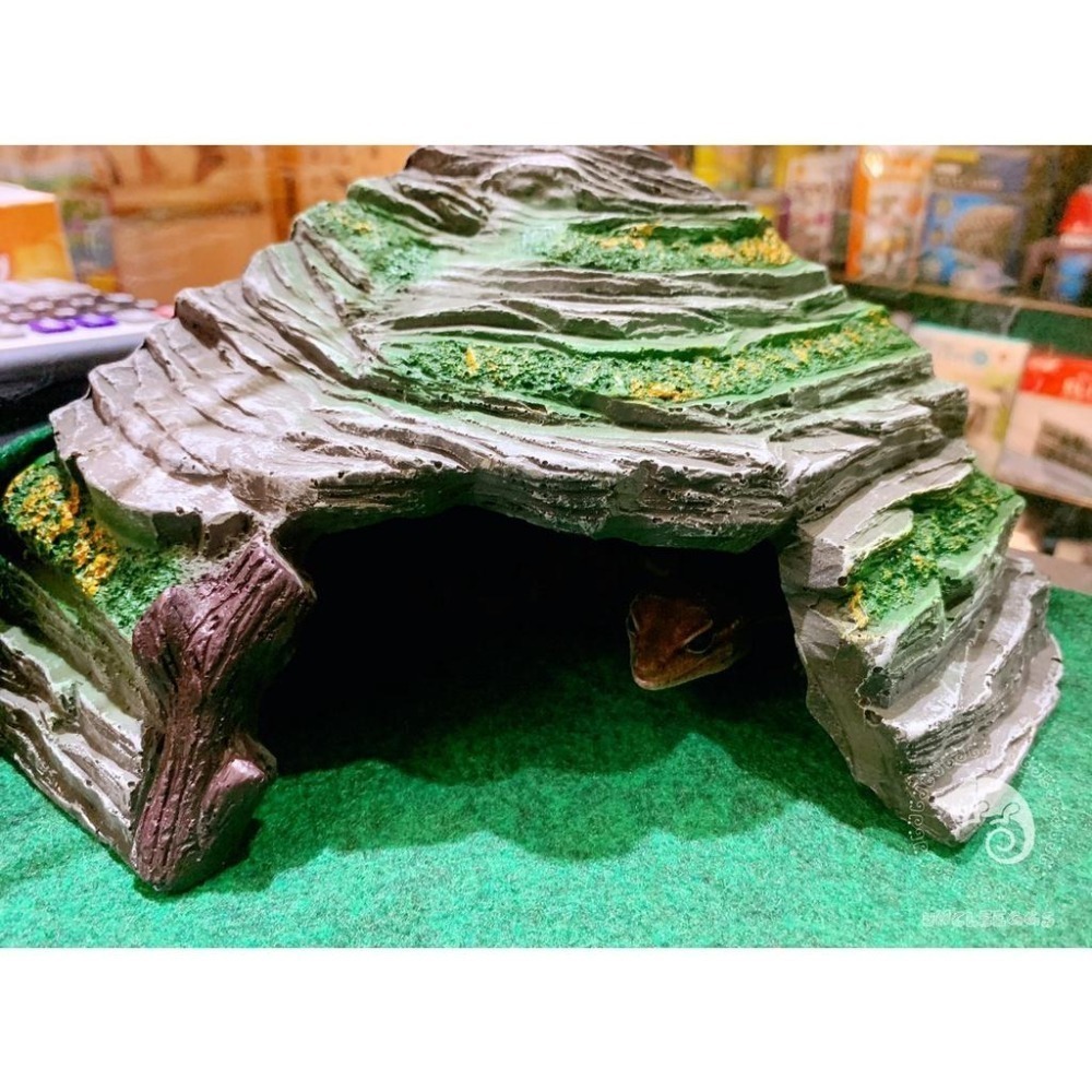 蛋叔叔-躲避洞穴爬台/410/守宮洞/守宮屋/曬台/爬台/烏龜島/蛇洞/角落洞穴/肥尾守宮/玉米蛇/角蛙/螯蝦/睡窩-細節圖6