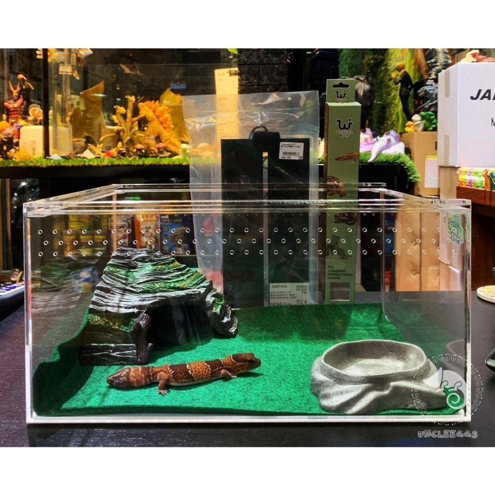 蛋叔叔-躲避洞穴爬台/410/守宮洞/守宮屋/曬台/爬台/烏龜島/蛇洞/角落洞穴/肥尾守宮/玉米蛇/角蛙/螯蝦/睡窩-細節圖7