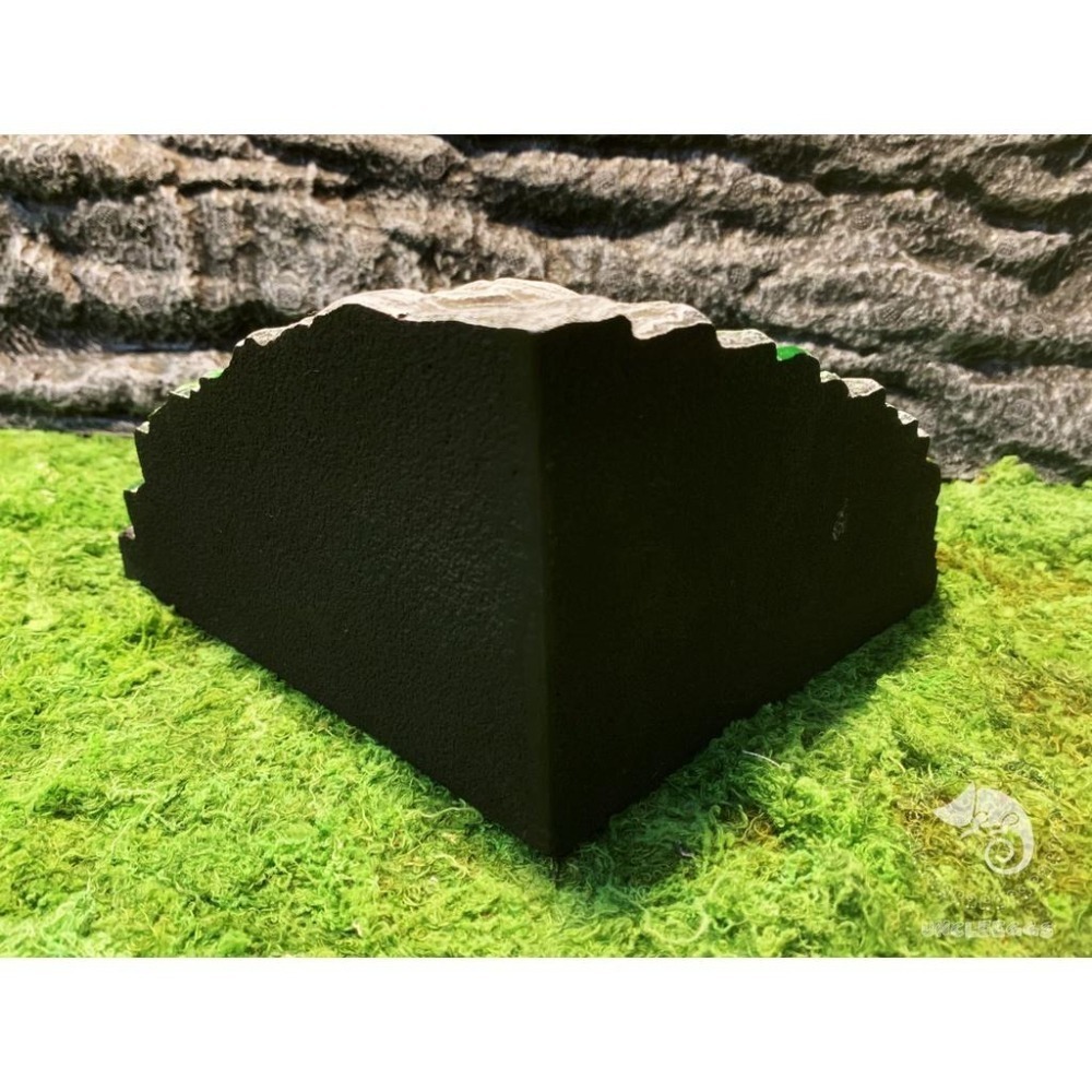 蛋叔叔-躲避洞穴爬台/410/守宮洞/守宮屋/曬台/爬台/烏龜島/蛇洞/角落洞穴/肥尾守宮/玉米蛇/角蛙/螯蝦/睡窩-細節圖9