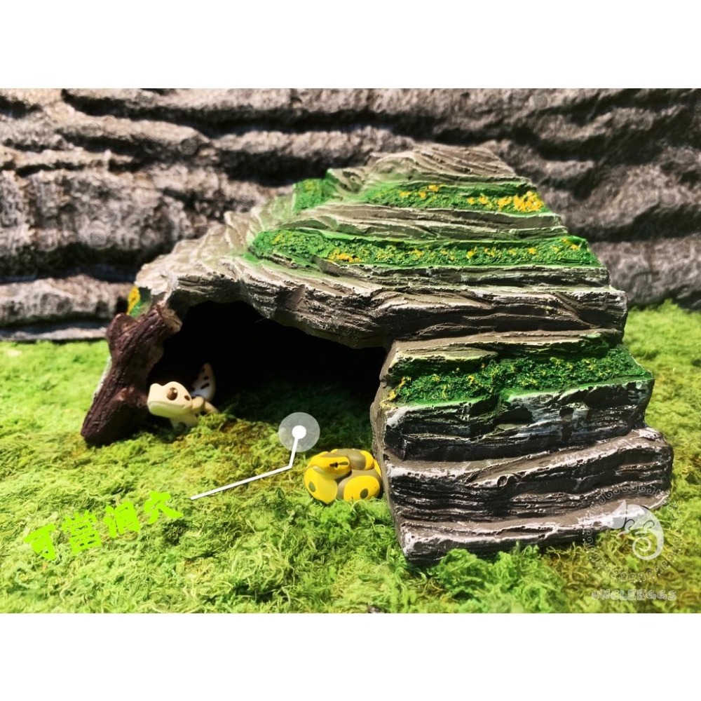 蛋叔叔-躲避洞穴爬台/410-B/守宮洞/守宮屋/曬台/爬台/烏龜島/蛇洞/角落洞穴/肥尾守宮/玉米蛇/角蛙/螯蝦/短雕-細節圖2