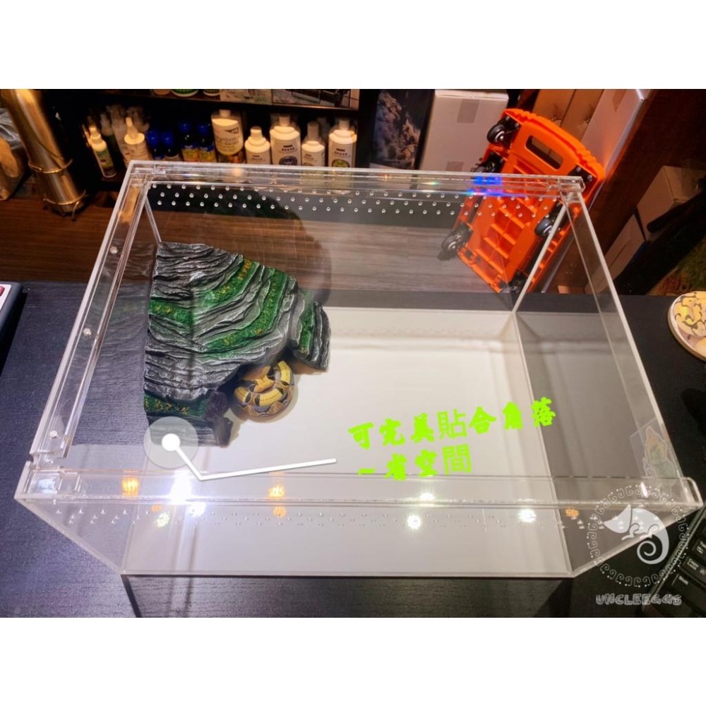 蛋叔叔-躲避洞穴爬台/410-B/守宮洞/守宮屋/曬台/爬台/烏龜島/蛇洞/角落洞穴/肥尾守宮/玉米蛇/角蛙/螯蝦/短雕-細節圖4