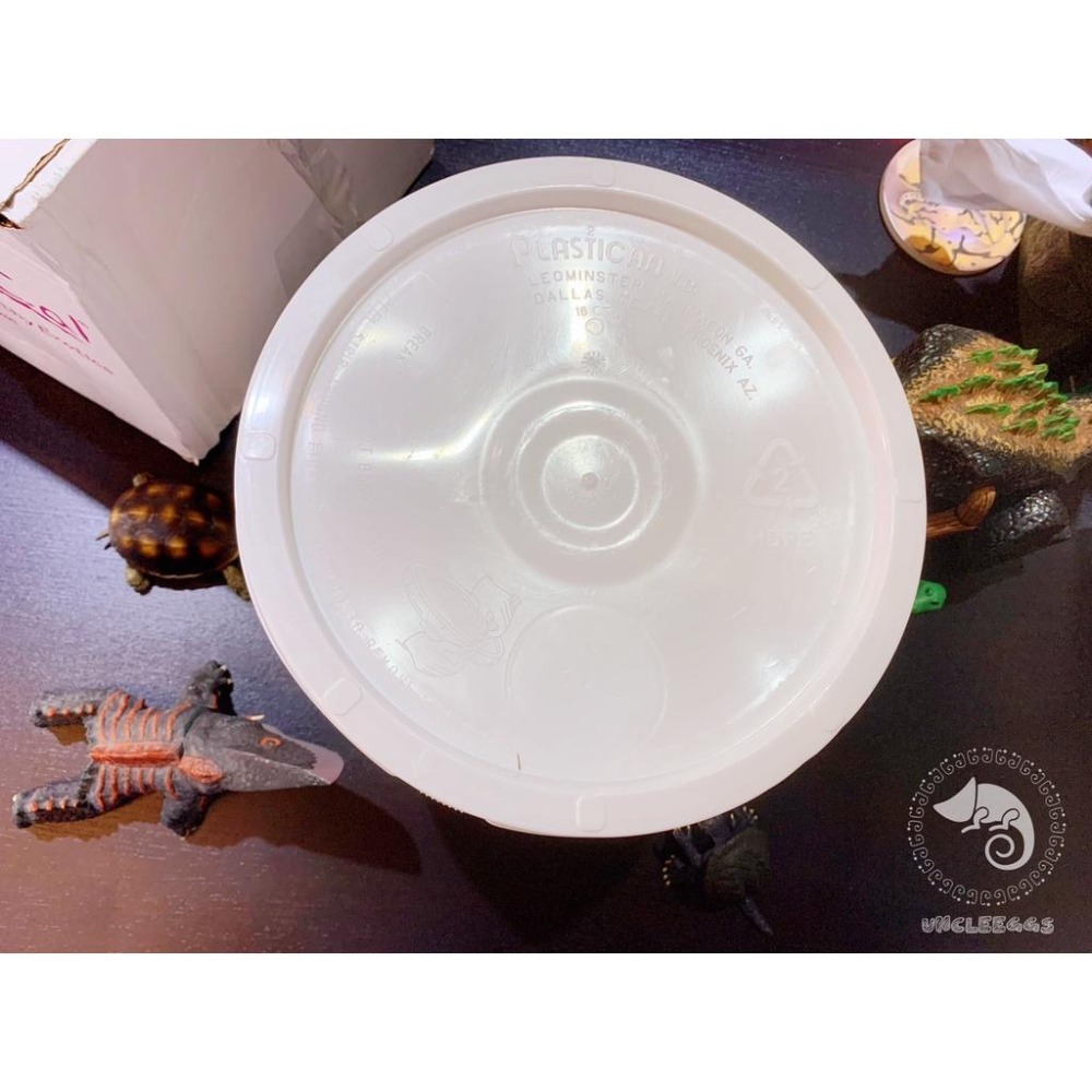 蛋叔叔【免運費】Rep Cal爬蟲維他命D3超細鈣粉(桶裝)/陸龜/蜥蜴/守宮/補鈣/繁殖/缺鈣/產卵/蘇卡達/鈣添加-細節圖7