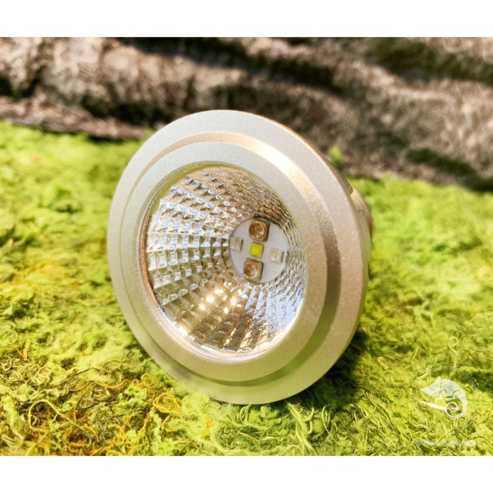 蛋叔叔【免運費】OTTO UVB LED燈泡/10.0/沙漠型/UVB/紫外線燈/太陽燈/鬆獅蜥/增豔/陸龜/蜥蜴/變色-細節圖2