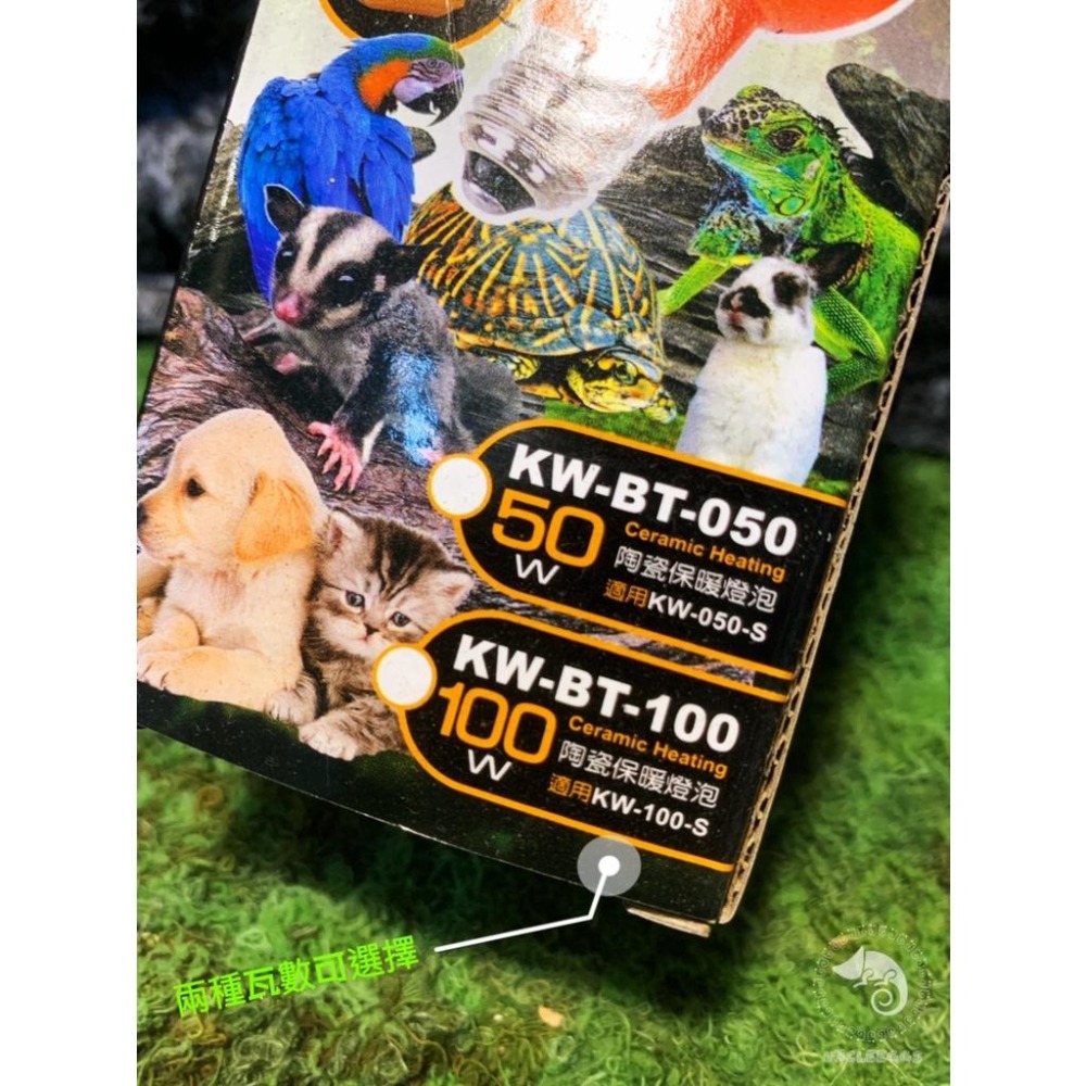蛋叔叔-RepPark陶瓷保暖燈泡-橘色/陸龜/鬆獅蜥/紅外線/夜間/陶瓷燈泡/加熱燈/取暖燈/加溫燈/紅外線加溫-細節圖6