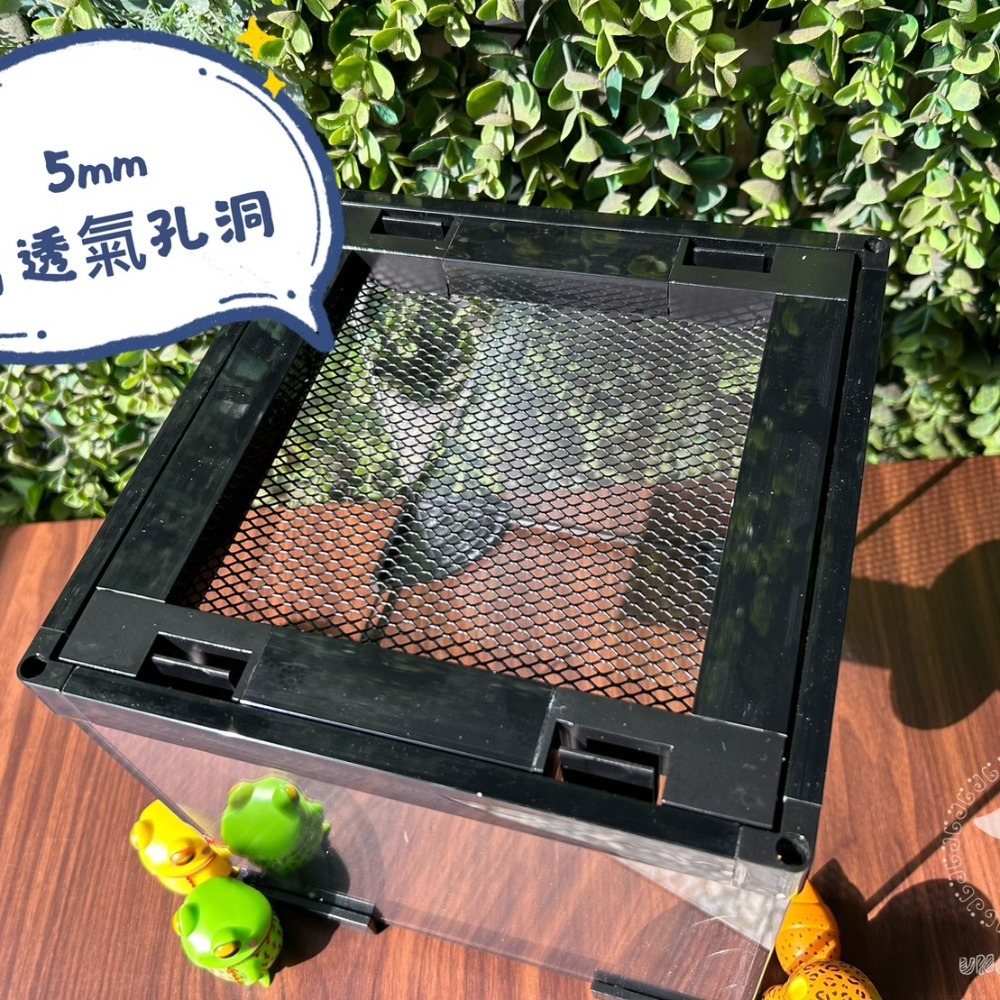 蛋叔叔-PZ-多功能玻璃缸(方形)/爬蟲箱/寵物箱/寵物缸/守宮缸/角蛙缸/蠑螈缸/蠍子/蜘蛛/球蟒/甲蟲/麝香龜/六角-細節圖4