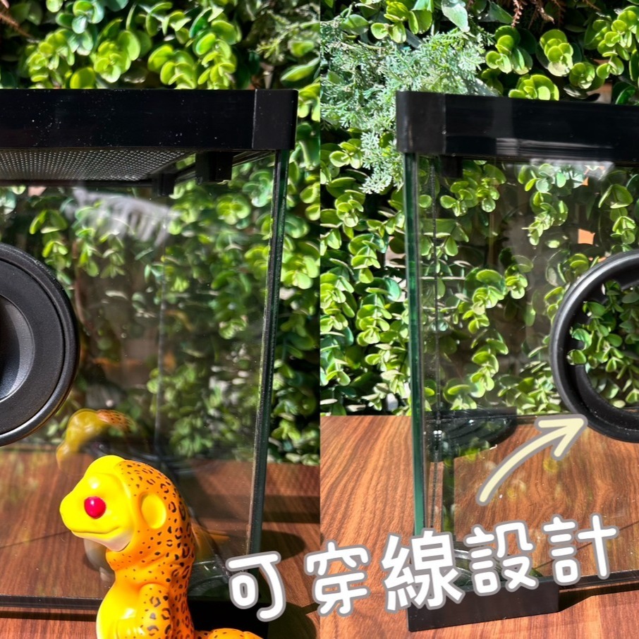 蛋叔叔-PZ-多功能玻璃缸(方形)/爬蟲箱/寵物箱/寵物缸/守宮缸/角蛙缸/蠑螈缸/蠍子/蜘蛛/球蟒/甲蟲/麝香龜/六角-細節圖5